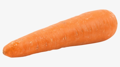 Fat Orange Carrot Png Image - Carrot Png, Transparent Png, Transparent PNG