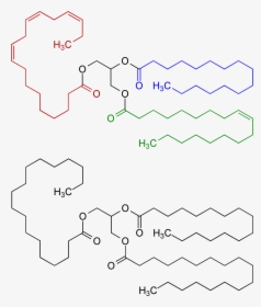 Fat Oil Chemical Structure V - Verderb Von Fetten Chemie, HD Png Download, Transparent PNG