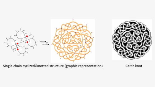 Single Chain Cyclized Knotted Polymer Vs Celtic Knot - Illustration, HD Png Download, Transparent PNG