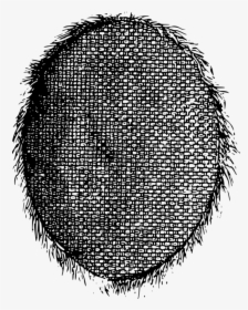 Head,symmetry,monochrome Photography - Circle, HD Png Download, Transparent PNG