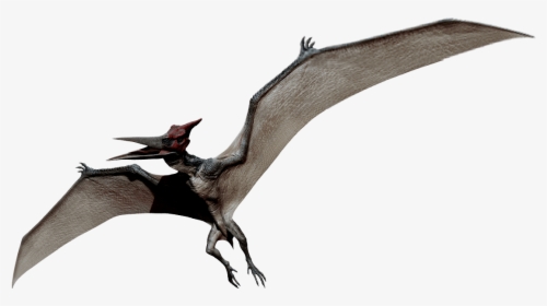 Survival Evolved Wiki - Pterodactyl Png, Transparent Png, Transparent PNG