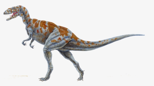 19 Transparent Dinosaur Megalosaurus Huge Freebie Download - Megalosaurus, HD Png Download, Transparent PNG