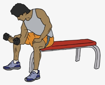 Dumbell Lifter Clip Arts - Exercise At The Gym Clipart, HD Png Download, Transparent PNG