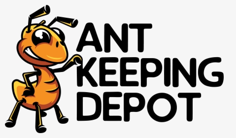 Logo Ant Football, HD Png Download, Transparent PNG