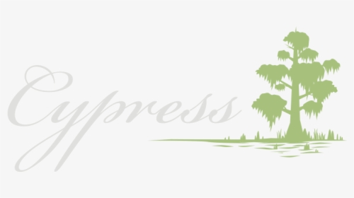 Cypress Pensacola $5 Happy Hour - Borassus Flabellifer, HD Png Download, Transparent PNG