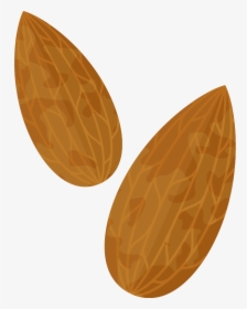 Almond Png Transparent Free - Png Almond Clipart, Png Download, Transparent PNG