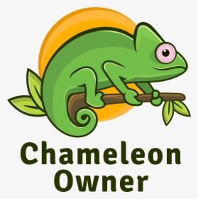 Chameleonowner - Cartoon, HD Png Download, Transparent PNG
