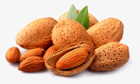 Nuts Transparent Fruit - Nut Dry Fruits Hd, HD Png Download, Transparent PNG