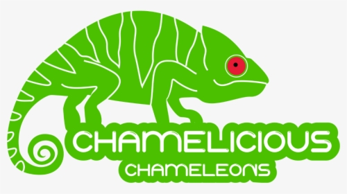 Chameleon, HD Png Download, Transparent PNG