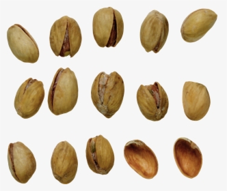 Pistachios Png, Download Png Image With Transparent - Pistachio, Png Download, Transparent PNG