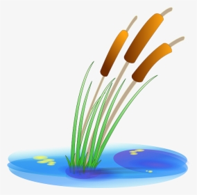 Download Hd Water Plants - Pond Clipart, HD Png Download, Transparent PNG