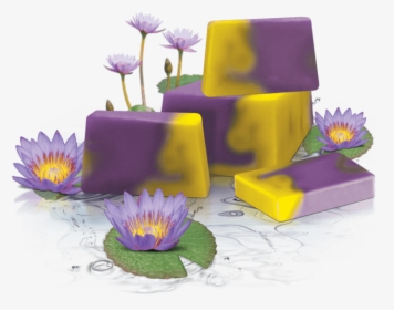 Handmade Glycerin Soap - Water Lily, HD Png Download, Transparent PNG