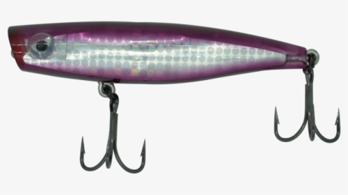 Beloniformes, HD Png Download, Transparent PNG
