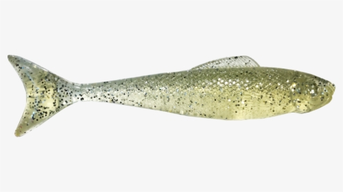 Eel, HD Png Download, Transparent PNG