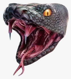 Snake Head Png - Anaconda Png, Transparent Png, Transparent PNG