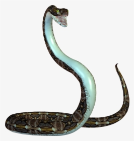 Snake Png Image Picture Download Free - Animated Snake Png, Transparent Png, Transparent PNG