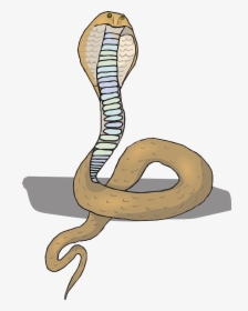 Head Snake Cobra Free Picture - วาด รูป หัว งู, HD Png Download, Transparent PNG