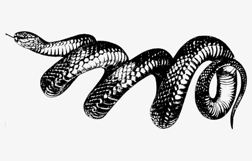 Reptile,art,serpent - Taylor Swift Reputation Snake, HD Png Download, Transparent PNG