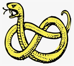 Snake, Coiled, Serpent, Predator, Isolated, Drawing - Coat Of Arms Snake, HD Png Download, Transparent PNG