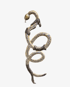 Snake Shedding Skin - Gold Snake Png, Transparent Png, Transparent PNG