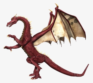 Realistic Dragon White Background, HD Png Download, Transparent PNG