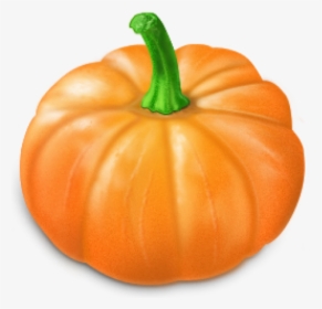 Pumpkin Png Free Download - Yellow Colour Vegetables Name, Transparent Png, Transparent PNG