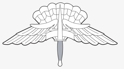 Military Free Fall Wings, HD Png Download, Transparent PNG
