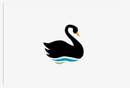Swan Transparent Image - Black Swan, HD Png Download, Transparent PNG