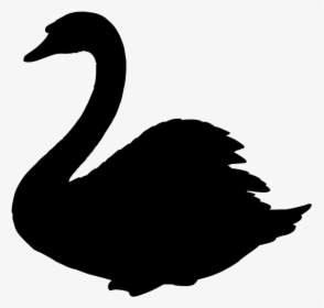 Swan Clipart Transparent Background - Transparent Background Swan Clip Art, HD Png Download, Transparent PNG