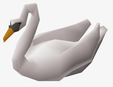 Duck, HD Png Download, Transparent PNG