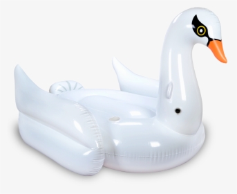 Pool Floatie Png, Transparent Png, Transparent PNG