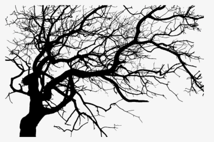 Drawing Creepy Cemetery - Dark Tree Png, Transparent Png, Transparent PNG