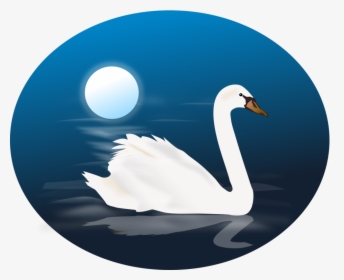 Duck,water Bird,swan - Animated Images Of Swan, HD Png Download, Transparent PNG