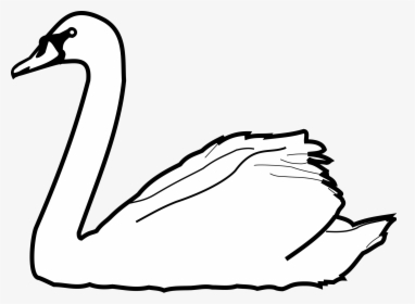 Swans Drawing At Getdrawings - Swan Clipart Png, Transparent Png, Transparent PNG