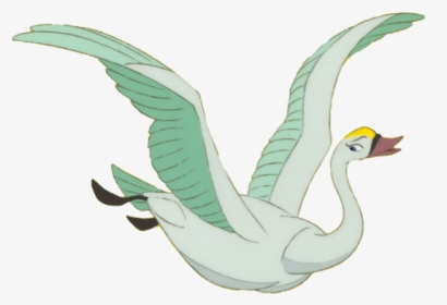8 Photos, F - Duck, HD Png Download, Transparent PNG