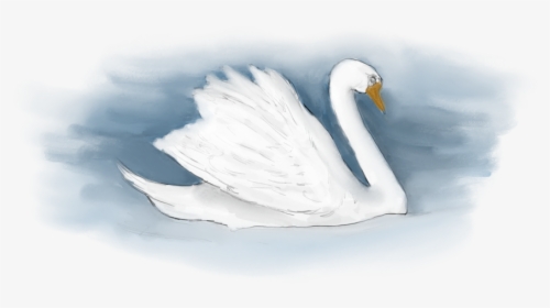 Tundra Swan, HD Png Download, Transparent PNG