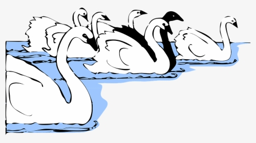Transparent Swimmer Clipart Free - Group Of Swan Cartoon, HD Png Download, Transparent PNG