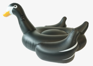 Sunfloats Inflatable Black Swan Pool Floats - Inflatable, HD Png Download, Transparent PNG