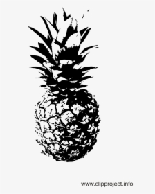 Pineapple Clipart Classy - Schwarz Weiß Bilder Ananas, HD Png Download, Transparent PNG