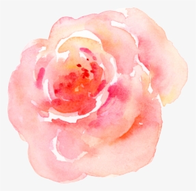 Pink Watercolor Flower Transparent - Garden Roses, HD Png Download, Transparent PNG