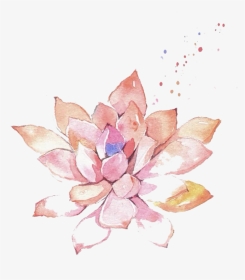 Ftestickers Watercolor Painting Flower Succulent Pink - Succulent Flower Transparent Watercolor, HD Png Download, Transparent PNG