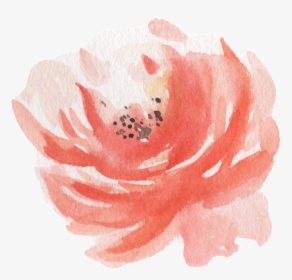 Pink Watercolor Hand Painted Flowers Transparent - Watercolor Paint, HD Png Download, Transparent PNG