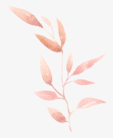 Watercolor Leaf Leaves Painting Hand-painted Png Download - Transparent Leaf Watercolor Png, Png Download, Transparent PNG