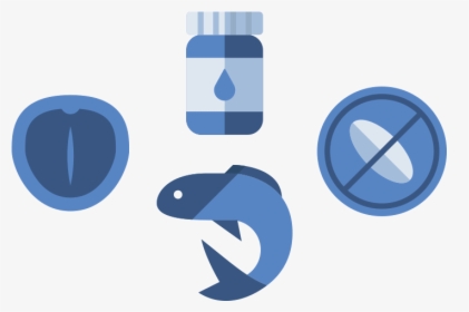Icon Of Macadamia Nut, Fish And Pill Bottle - Graphic Design, HD Png Download, Transparent PNG