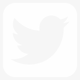 Twitter Logo Png 2016, Transparent Png, Transparent PNG
