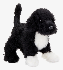 Toy Poodle, HD Png Download, Transparent PNG