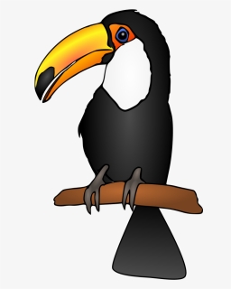 Flightless Bird,bird,toucan - Toucan Clipart, HD Png Download, Transparent PNG