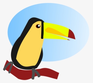 Cartoon Toucan File Toucan Cartoon Svg Wikimediamons - Scalable Vector Graphics, HD Png Download, Transparent PNG