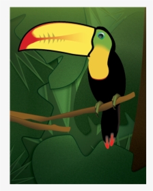 Toucan & Gradients Exercise Adobe Illustrator Illustration - Toucan, HD Png Download, Transparent PNG