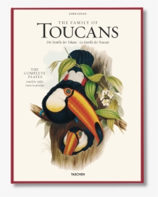 The Family Of Toucans - Toucan John Gould, HD Png Download, Transparent PNG